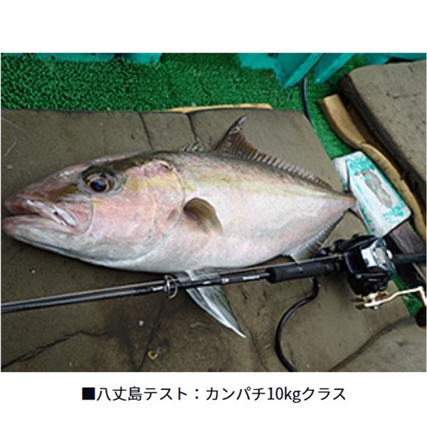 22 NEOSTAGE DG